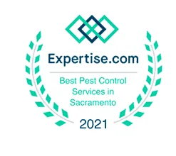Best Pest Control Services in Sacramento 2021