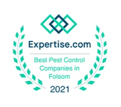 Best Pest control Companies in Folsom 2021